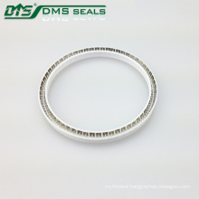 PTFE Stain Steel Spring Energized Seals Valve Seal